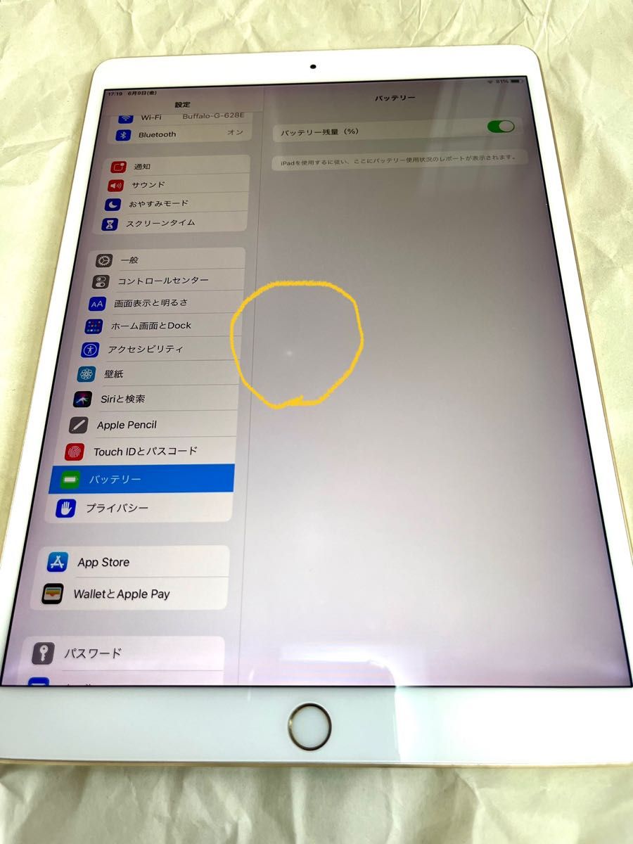 良品 iPad Pro 10 5インチ 64GB Wi-Fi ゴールド MQDX2J/A 本体のみ