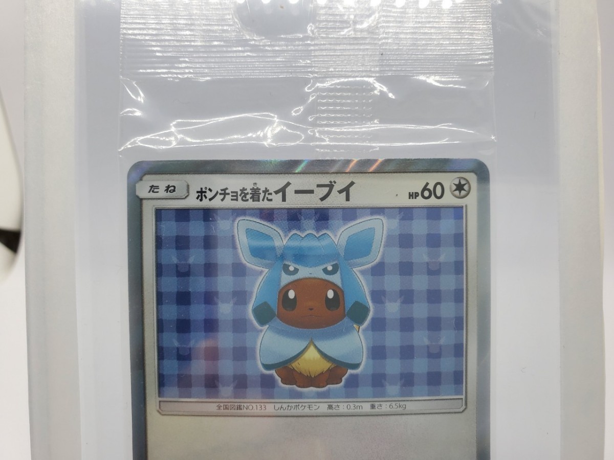 未開封 ポンチョを着たイーブイ グレイシア 美品 ポケモンカード