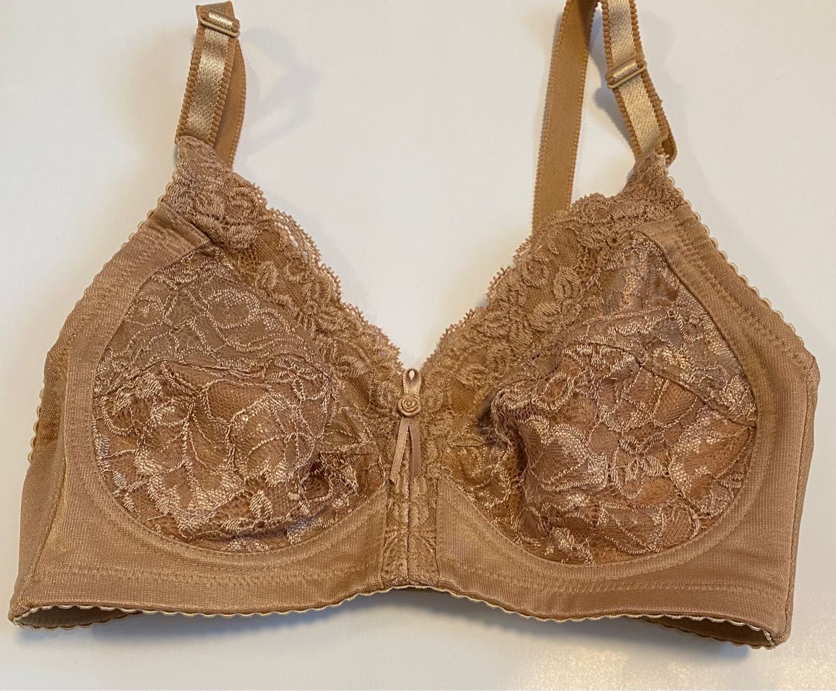 新品未使用 シャルレドゥバンナブラジャー FA181 ブラウニッシュ 新品未使用 シャルレドゥバンナブラジャー FA181 ブラウニッシュ