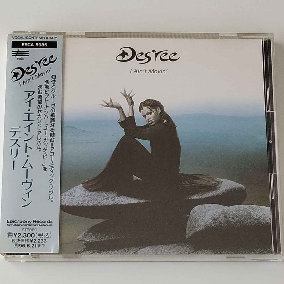 【帯付 国内盤CD】DES'REE / I AIN'T MOVIN' (ESCA-5985) デズリー / アイ・エイント・ムーヴィン 1994年2ndアルバム / ユー・ガッタ・ビー_画像1