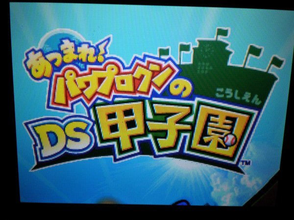 DS　あつまれ！ パワプロクンのＤＳ甲子園＋パワポケ 甲子園　お買得２本セット(ソフトのみ)_画像2