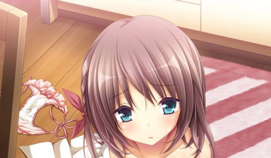 最終値下げ アオイトリ 克 /パープルソフトウェア タペストリー B2 メディオ特典 タペストリー