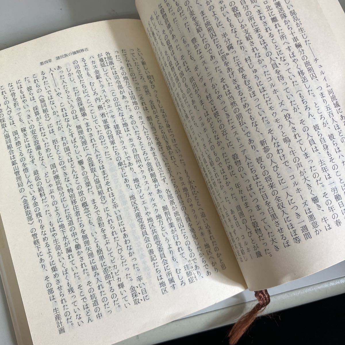 古書 文庫●収容所群島 6 新潮文庫 1918 - 1956 文学的考察 (昭和53年初版) A・ ソルジェニーツィン (著) 木村浩 (訳) ●4758_画像8