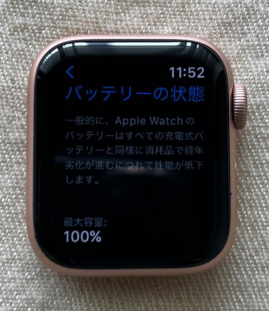 ディスプレイが Apple Watch SE1アルミ40mm - 時計