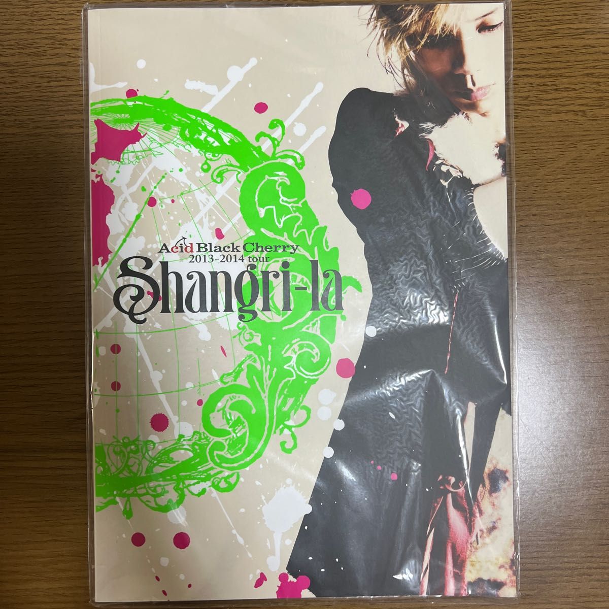Acid Black Cherry シャングリラパンフレット