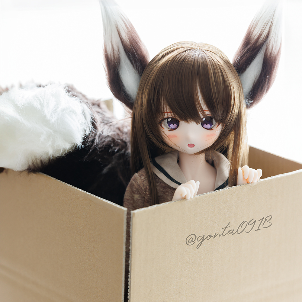 ごんた】 DDH-01 SW肌 カスタムヘッド+アイ+ウィッグ+ケモ耳+尻尾