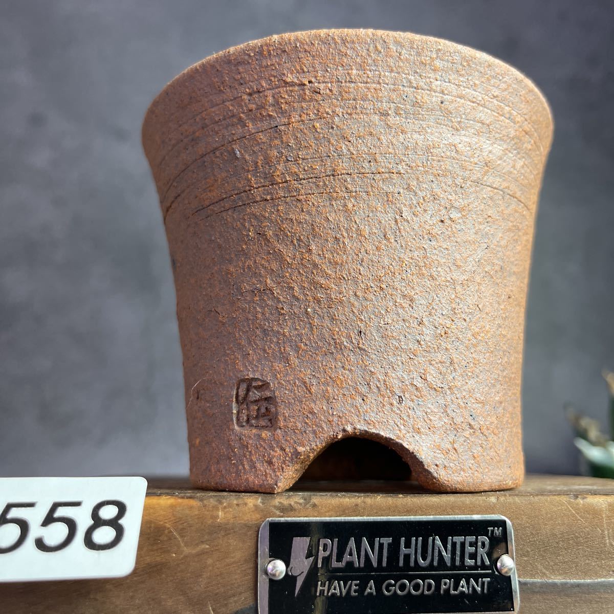 る558 3号植木鉢 陶器 検(invisible ink raw life factory SRL る558 3号植木鉢 陶器 検(invisible ink raw life factory SRL