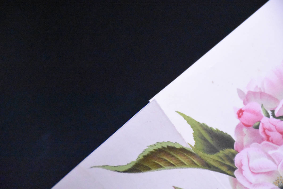 フランスアンティーク 博物画 植物画『CERASUS CAPRONIANA FLORE ROSEO PLENO』 多色刷り石版画　ボタニカルアート_画像7