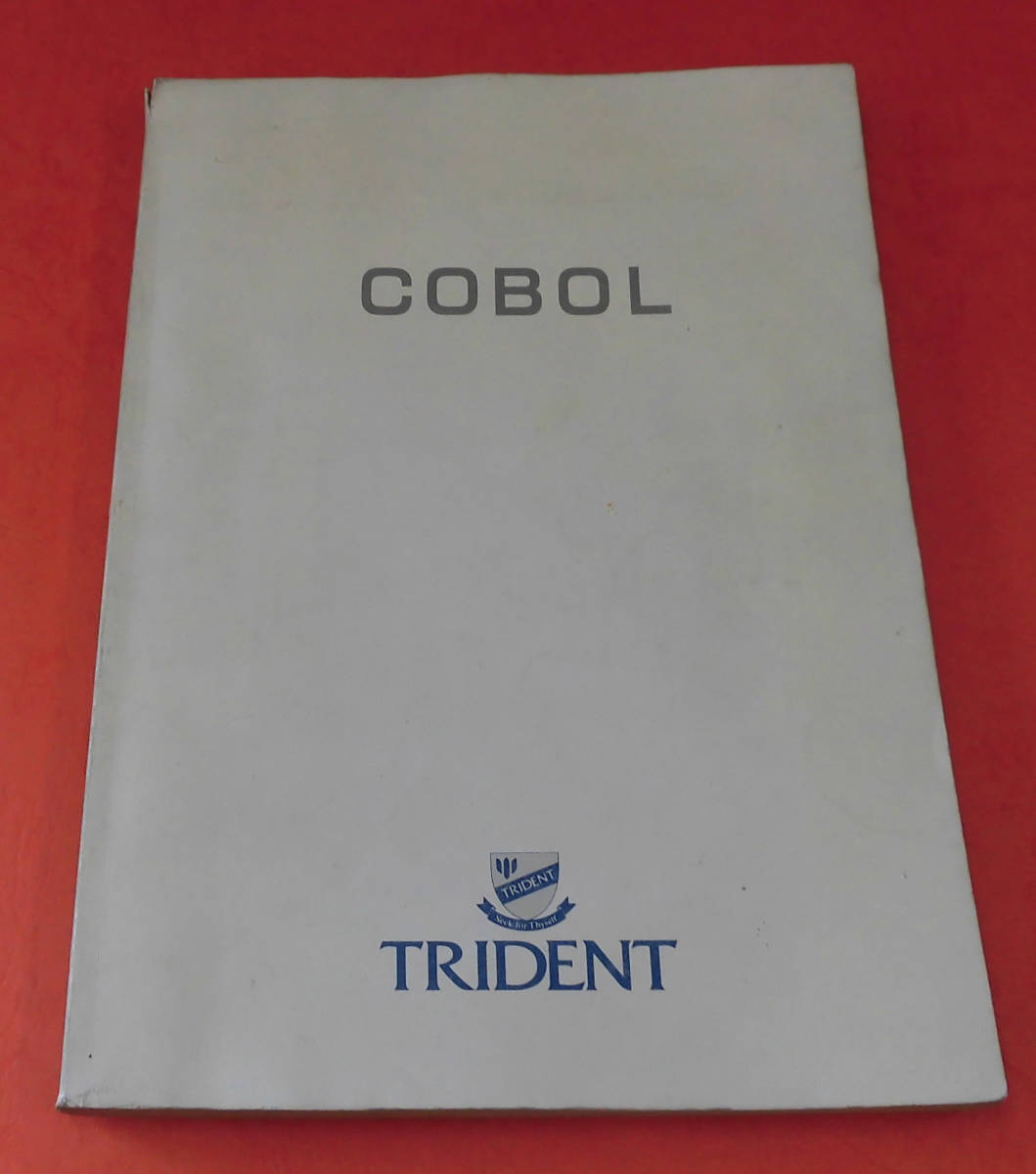 book@ computer. knowledge &COBOL speciality school text?