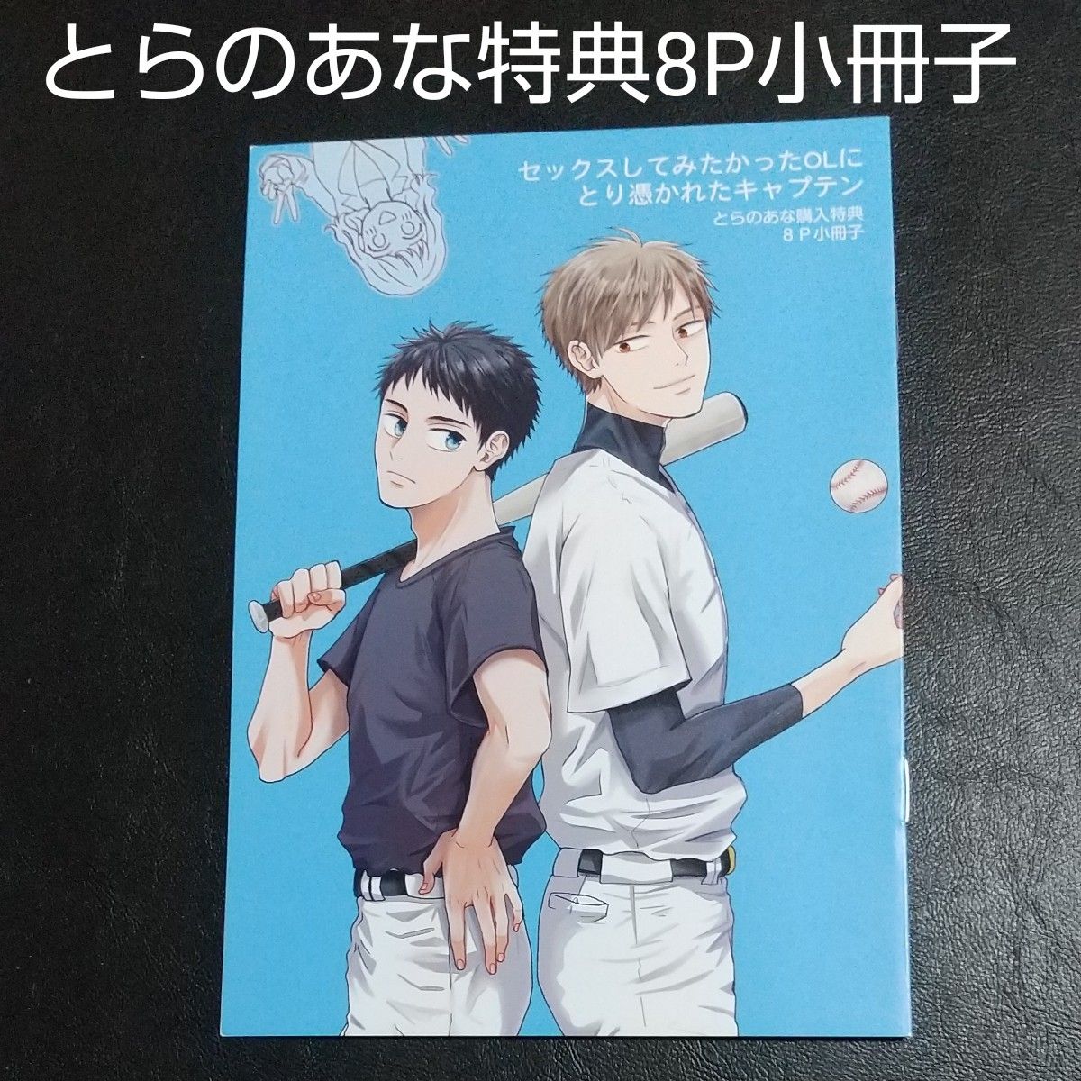 【小冊子】「セックスしてみたかったOLにとり憑かれたキャプテン」とらのあな特典8P小冊子