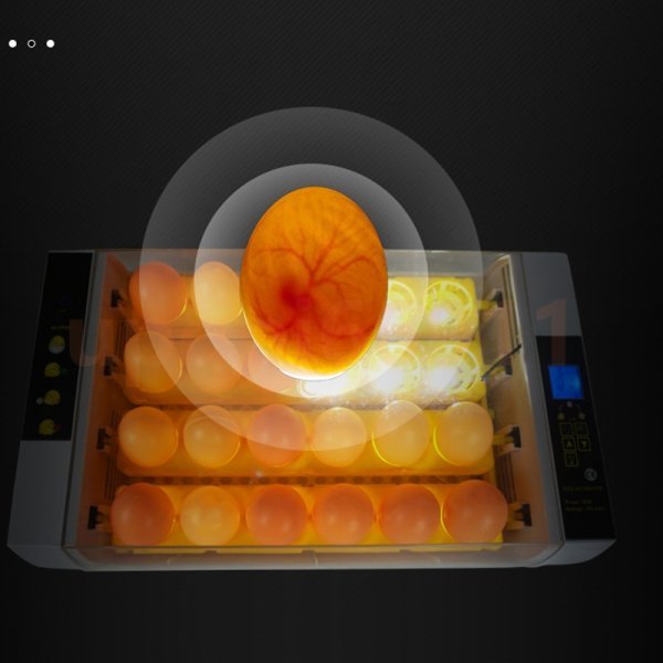 自動孵卵器 自動転卵 検卵ライト内蔵 インキュベーター LED液晶 孵化率アップ 鳥類専用ふ卵器 自動転卵式 ヒヨコ生まれ 24個 自動温度制_画像4