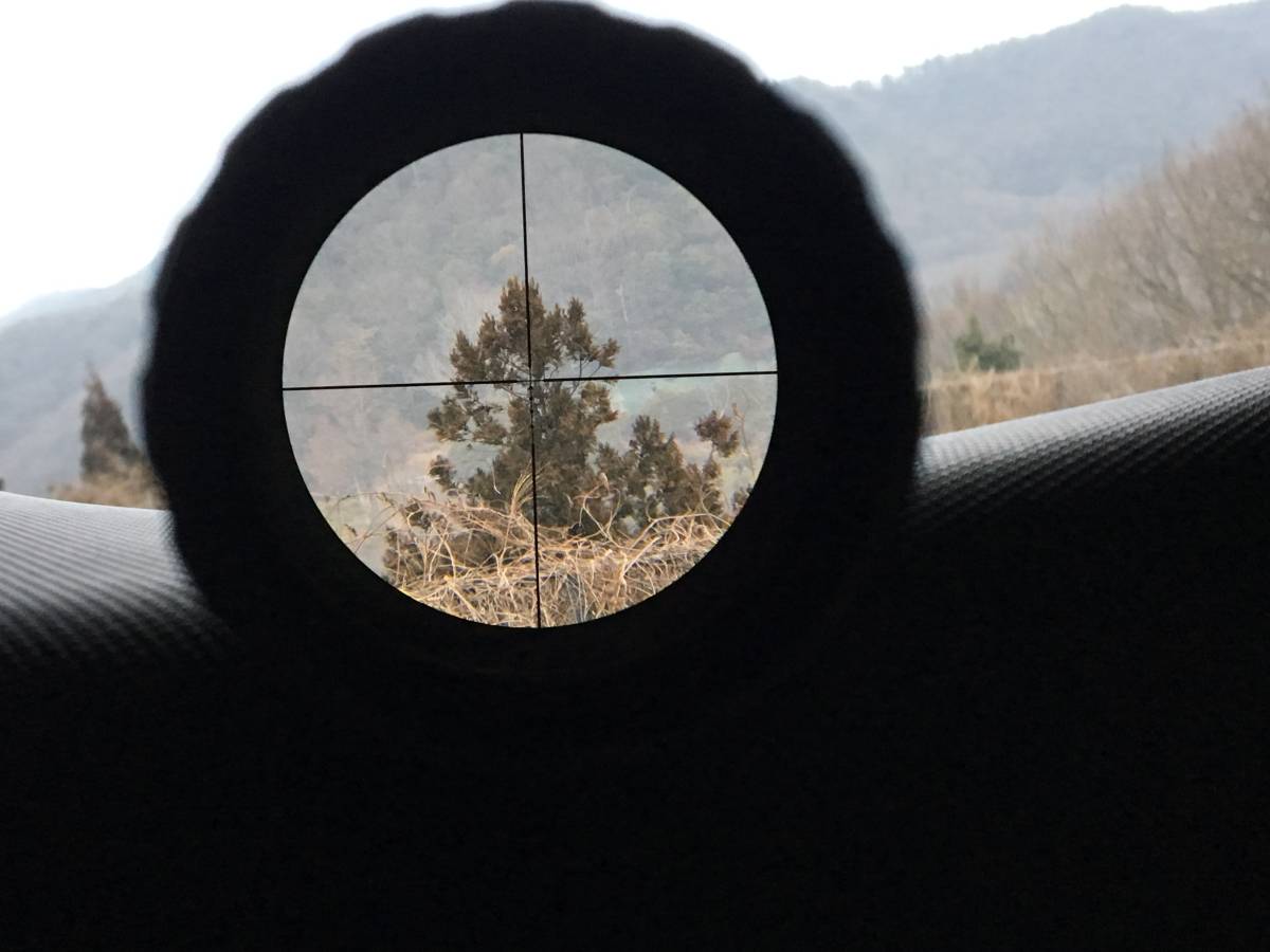 Bushnell ブッシュネル AR Optics 3-9x40 ライフルスコープ 箱付 スナイパー 猟銃 マウントリング レクティル アサルトライフル ショート_画像4