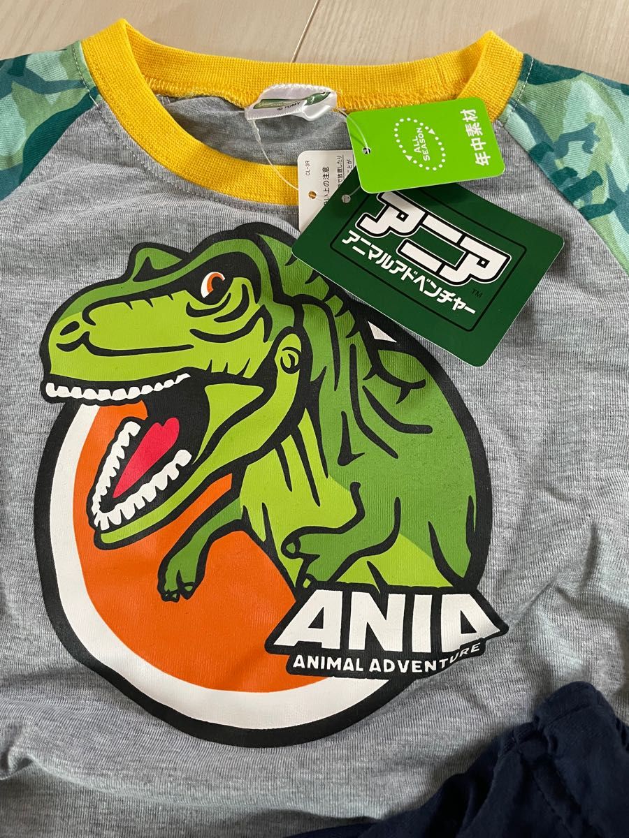 アニア　パジャマ　セット　ルームウェア　兄弟でお揃い  上下セット　恐竜　ダイナソー　ANIA