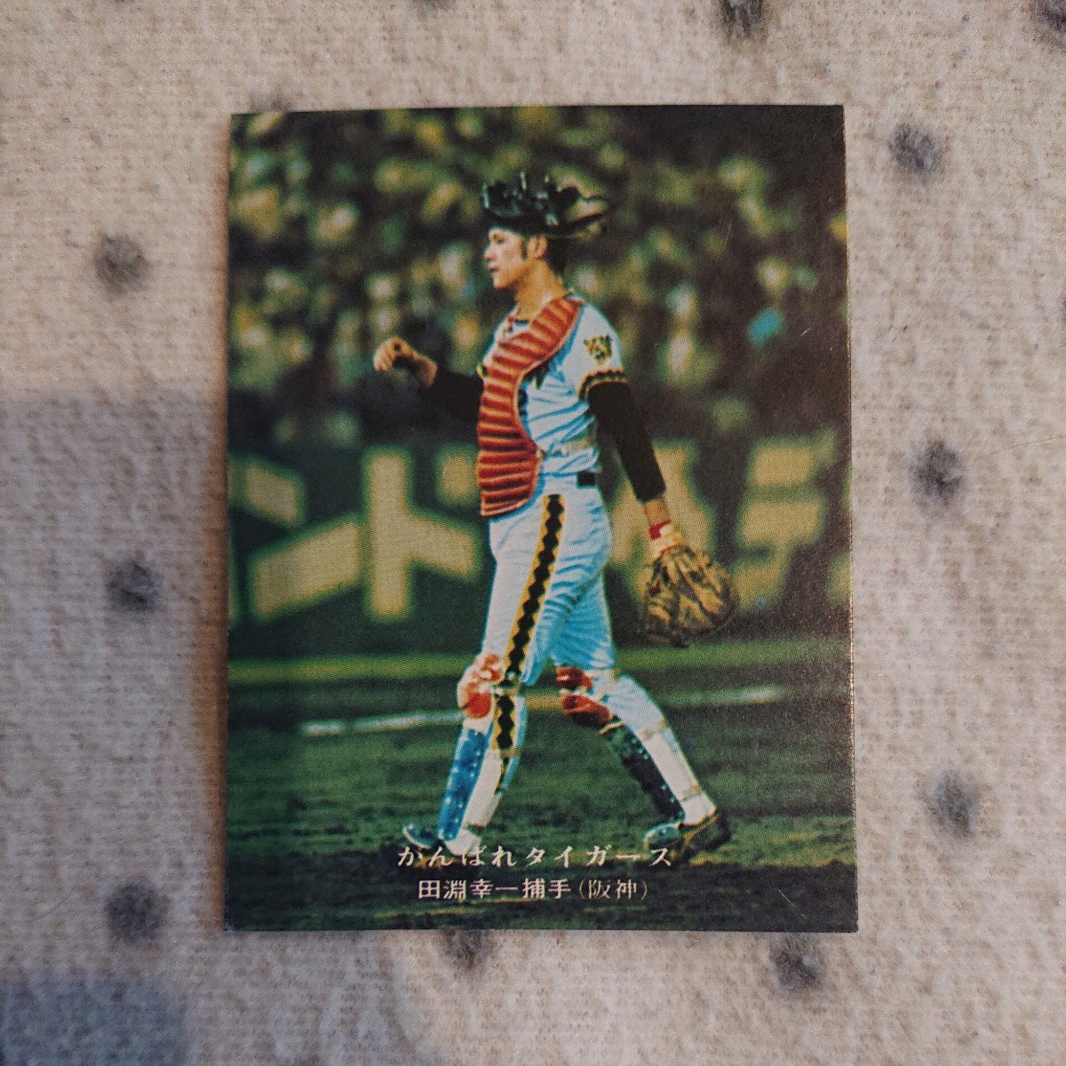 カルビー プロ野球カード 1975年 240 ☆ 田淵幸一 阪神タイガース ☆ がんばれタイガース ☆ 田淵 阪神 タイガース_画像1