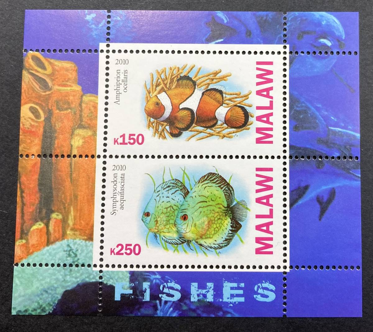 マラウイ 2010年発行 魚 切手 未使用 NH - 切手、はがき