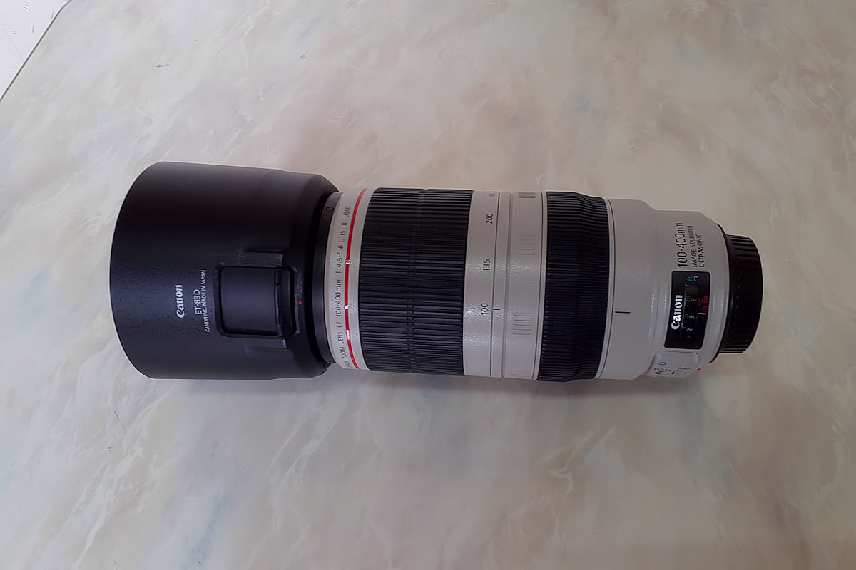 Canon EF100-400mm F4.5-5.6L IS II USM | www.bradeafrica.com