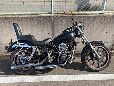 ファッション】 Harley-Davidson 1981年式スタージス 1340CC ダイナ