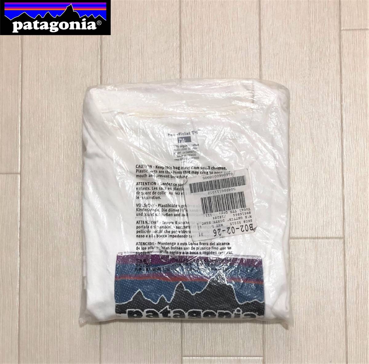 patagonia パタゴニア 2000's DEAD STOCK 2000年代 デッドストック M'S GETTIN' DRITY SINCE 1973 T-SHIRT メンズ Tシャツ サイズL 丸首 白