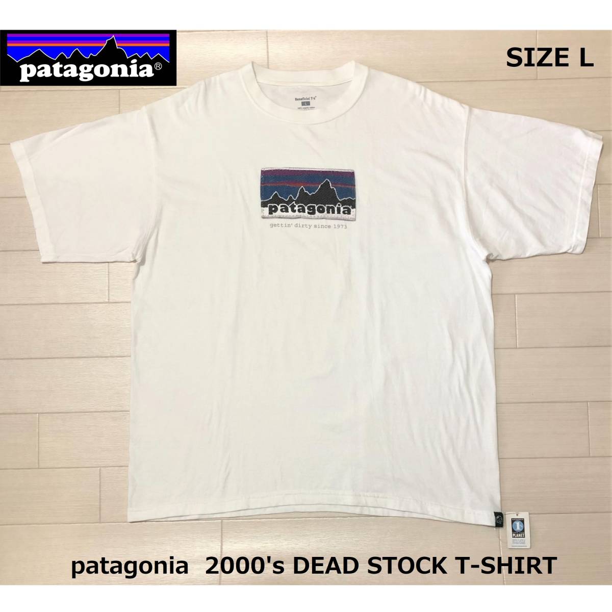 patagonia パタゴニア 2000's DEAD STOCK 2000年代 デッドストック M'S GETTIN' DRITY SINCE 1973 T-SHIRT メンズ Tシャツ サイズL 丸首 白