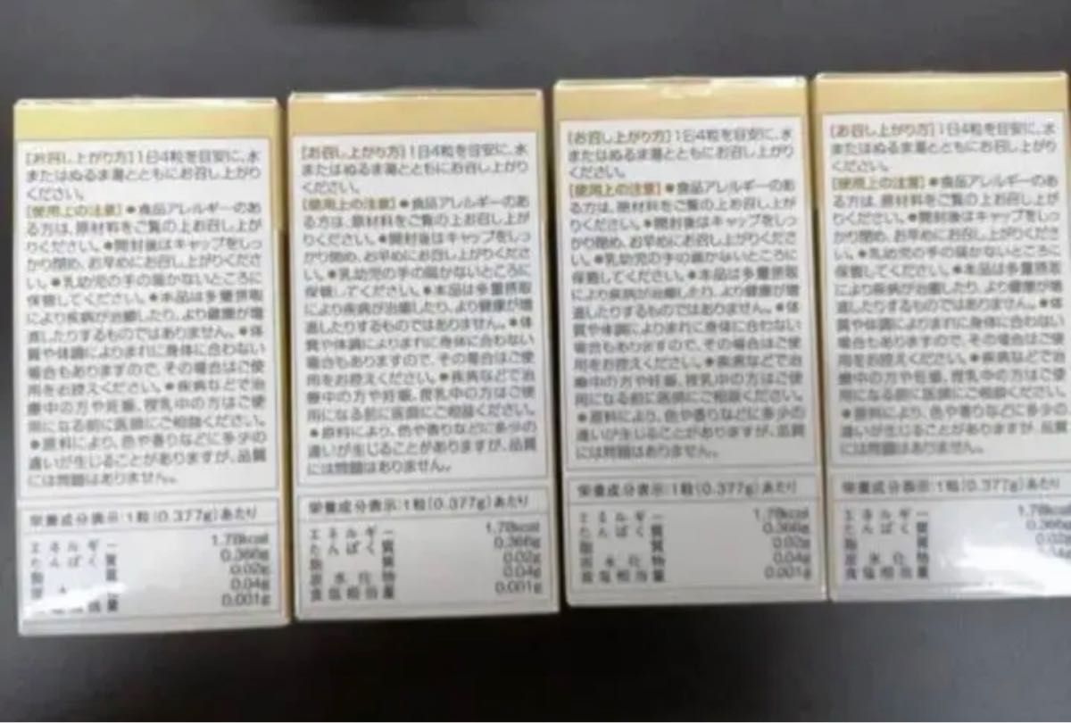 エルセラーン 黒ガリン4個セット | premiumcleanlavanderia.com.br