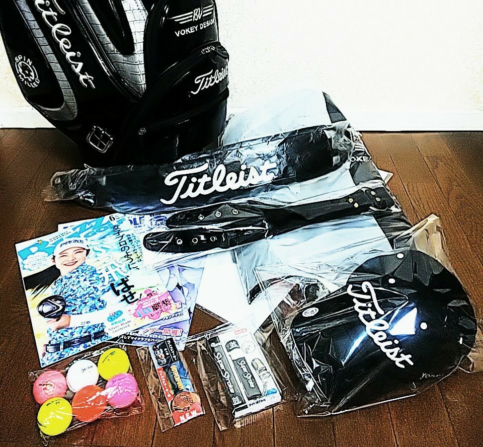 正規品 送料無料☆タイトリスト キャディバック 極美品Titleist GOLF