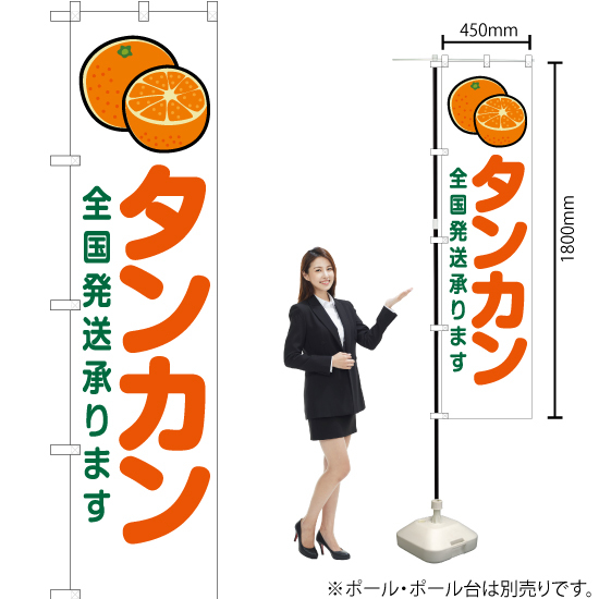 のぼり旗 2枚セット タンカン 全国発送承ります 白 JAS-213_画像2