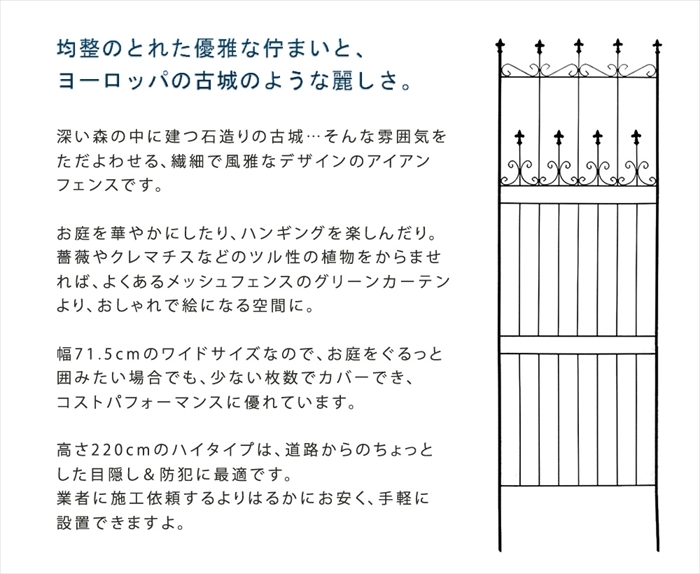 オールドシャトーフェンス220 ハイタイプ ブラック 2枚組 フェンス アイアン ガーデンフェンス 枠 柵 仕切り 目隠し 境 M5-MGKSMI00375BLK_画像3