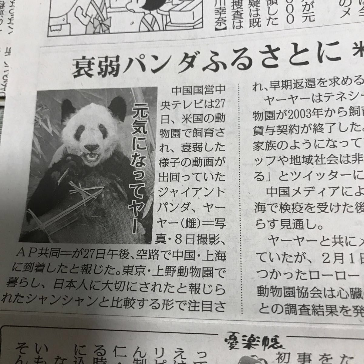 パンダ新聞記事　10種類　毎日新聞　スポニチ