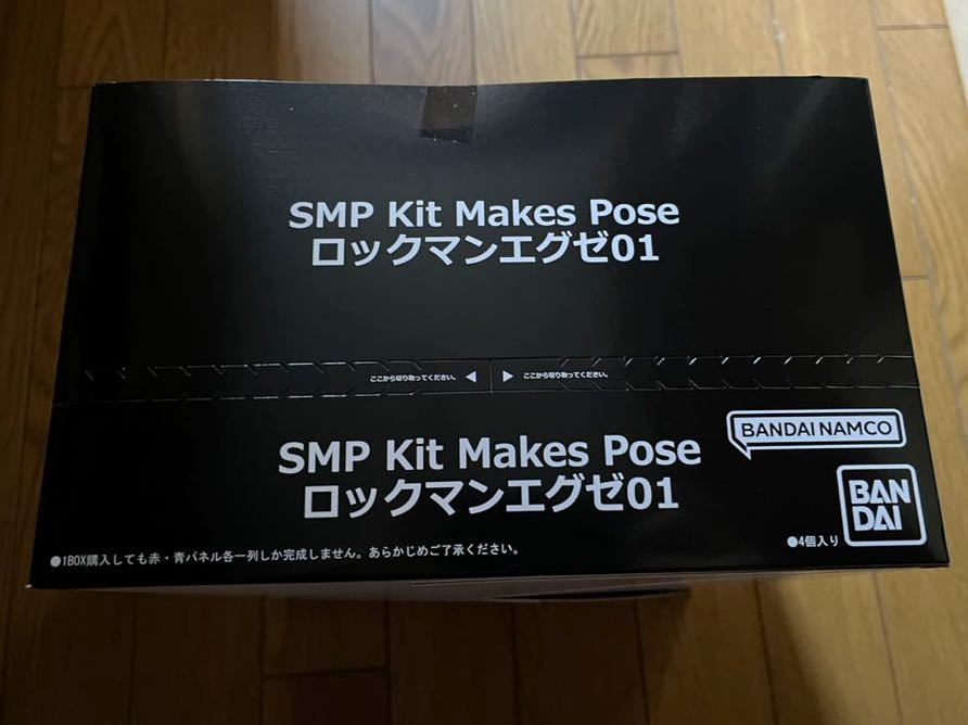 全国組立設置無料 SMP ロックマンエグゼ 01セット acomunidadedamente