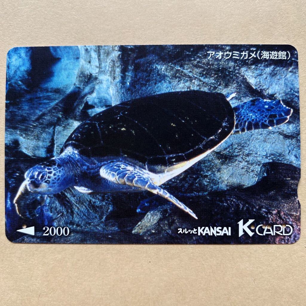 【使用済】 スルッとKANSAI 京阪電鉄 京阪電車 アオウミガメ（海遊館）_画像1