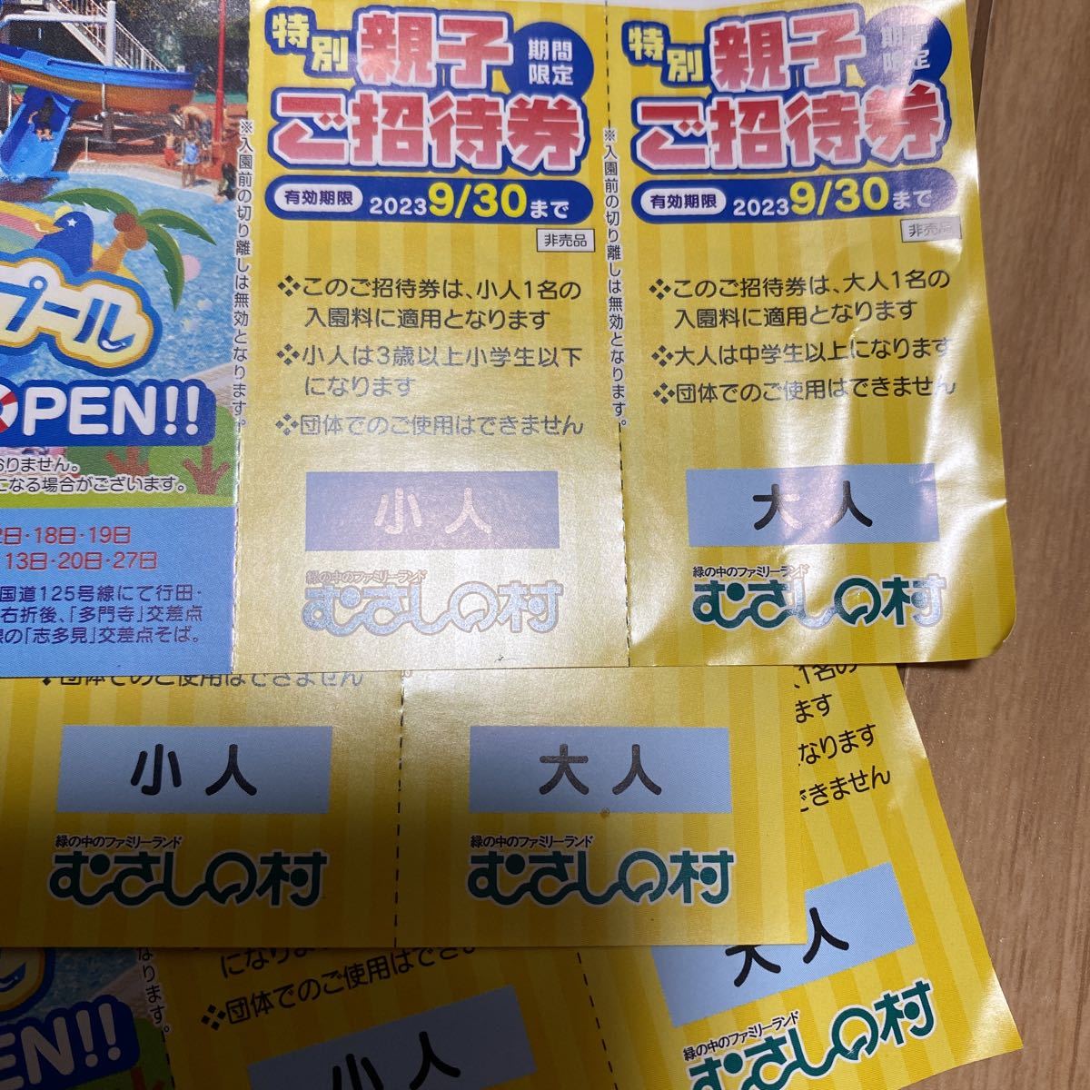 むさしの村 特別 親子 ご招待券 入園券 有効期限2023.9/30 3枚セット かき氷引換券付き 送料63円〜 JChere雅虎拍賣代購