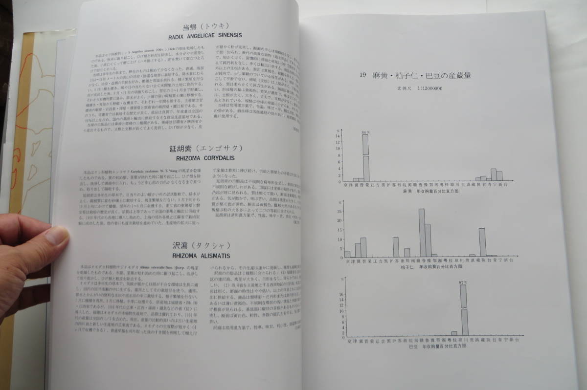 1329 大型本 中国薬材資源地図集 中国薬材公司 (著) 中国測絵科学研究院 (著) 1996年 函ヤケ・カバー傷み有の画像7