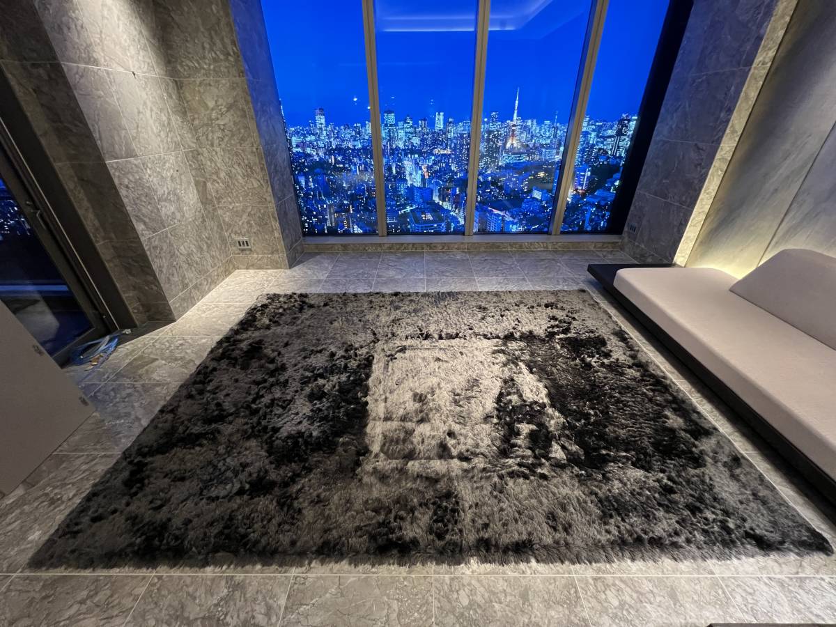 海外限定】 Premium IXC./Airy *N-517*ラグマット/Cassina Blend