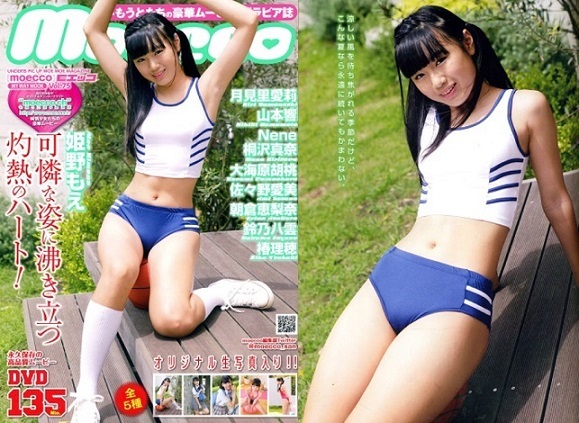♪「 moecco / モエッコ 15冊セット 75A【 74, 75, 77, 81, 83, 84, 85