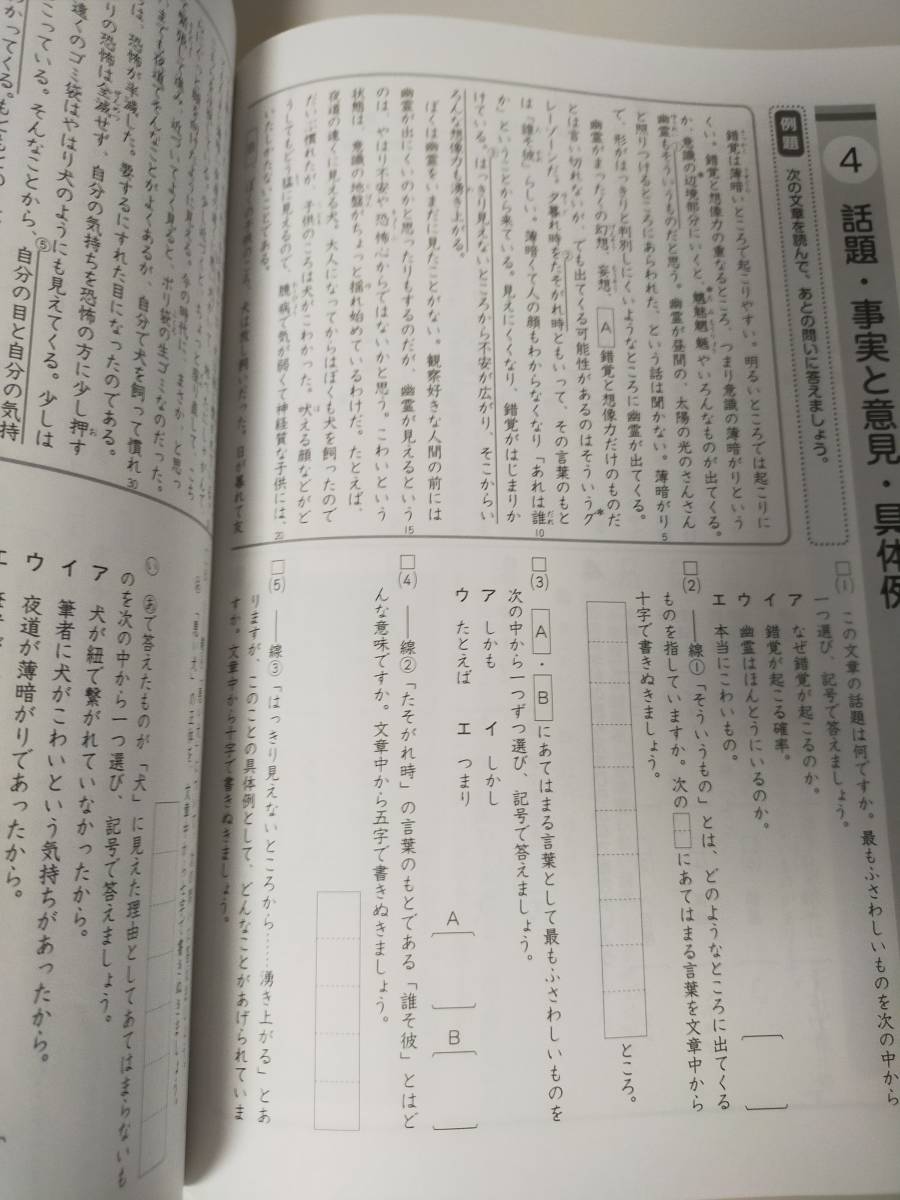 小6　国語　前期後期　完全制覇シリーズ　高校受験コース　名進研　2022年　解答解説付き　2冊セット　【即決】_画像6