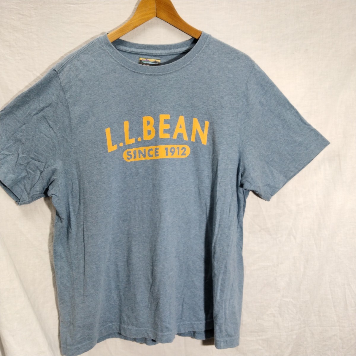 L.L.Bean LLBEAN LLbean LL ビーン コットン　　ロゴプリント　半袖　ＴShirt Ｔシャツ　XL ミックスブルー　クラシック　ゆったり　ロゴ_画像1
