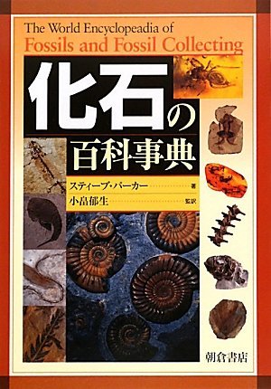 激安 【中古】 化石の百科事典 自然科学と技術 - livenationforbrands.com
