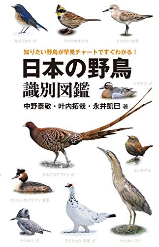 【中古】 日本の野鳥識別図鑑 知りたい野鳥が早見チャートですぐわかる!