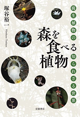 【中古】 森を食べる植物 腐生植物の知られざる世界_画像1