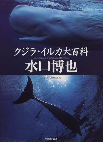 【中古】 クジラ・イルカ大百科_画像1