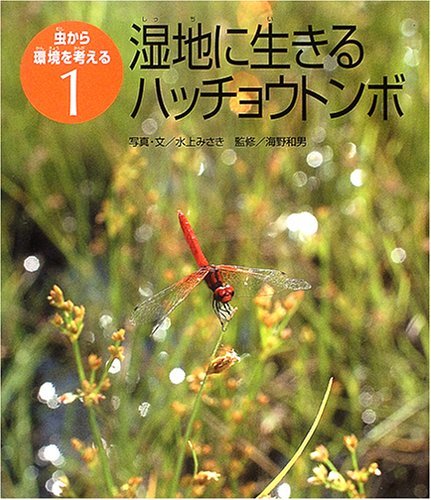 【中古】 湿地に生きるハッチョウトンボ (虫から環境を考える)