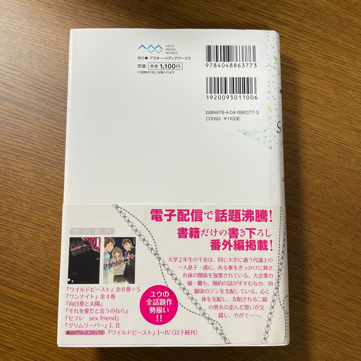 ケータイ小説　アスキー・メディアワークス　slave スレイブ　ユウ