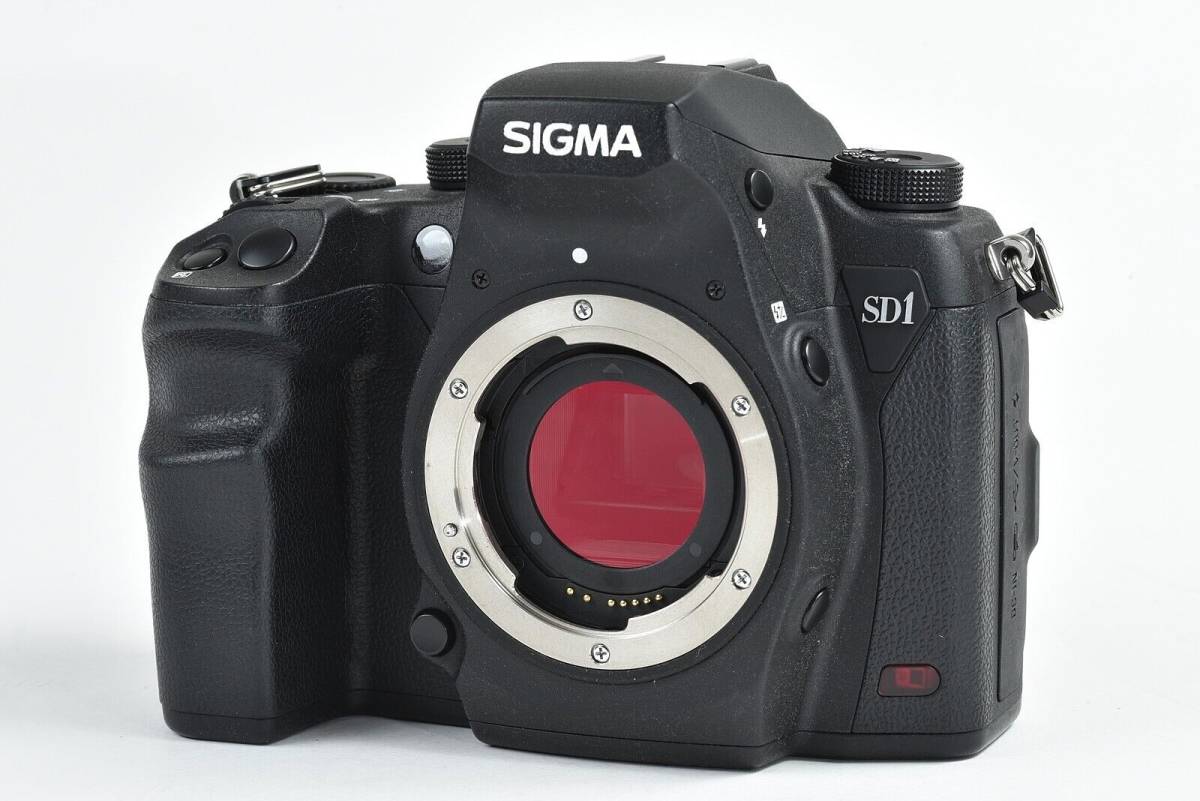 大得価好評】 ☆SIGMA / シグマ SD1 Merrill ボディ ディーライズ