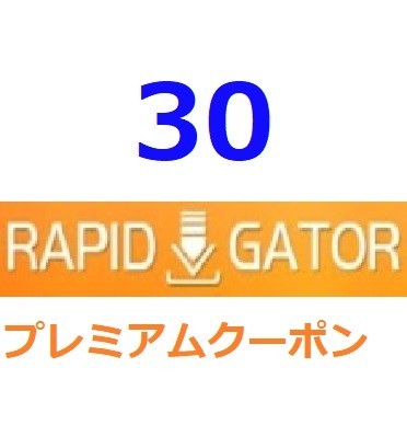 Rapidgator プレミアム公式プレミアムクーポン 30日間 入金確認後1分～24時間以内発送の画像1