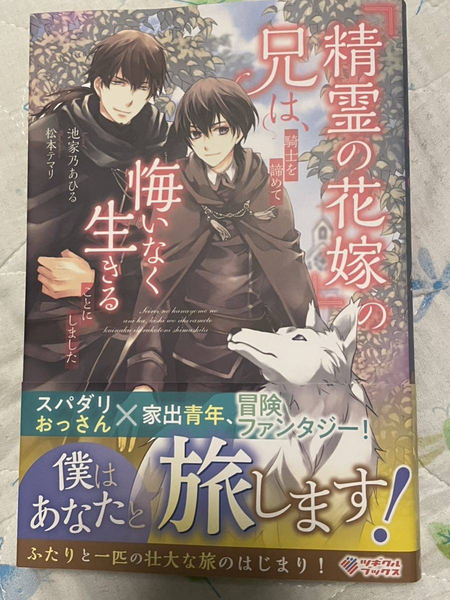 ツギクルブックス 6月新刊 『「精霊の花嫁」の兄は、騎士を諦めて悔い