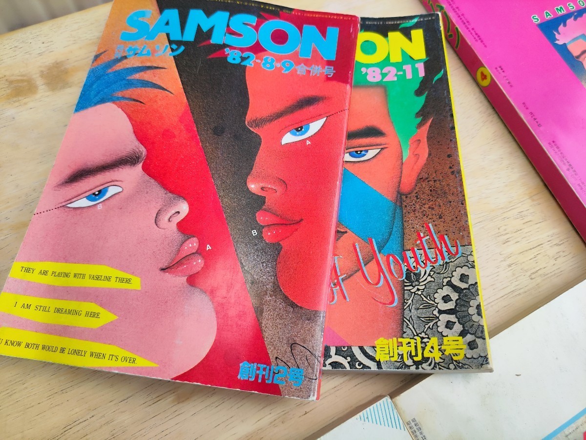 「#期間限定」のおすすめ人気ランキング 45冊セット 月刊サムソン 1982年〜1989年 抜け有り 創刊2号〜 その他