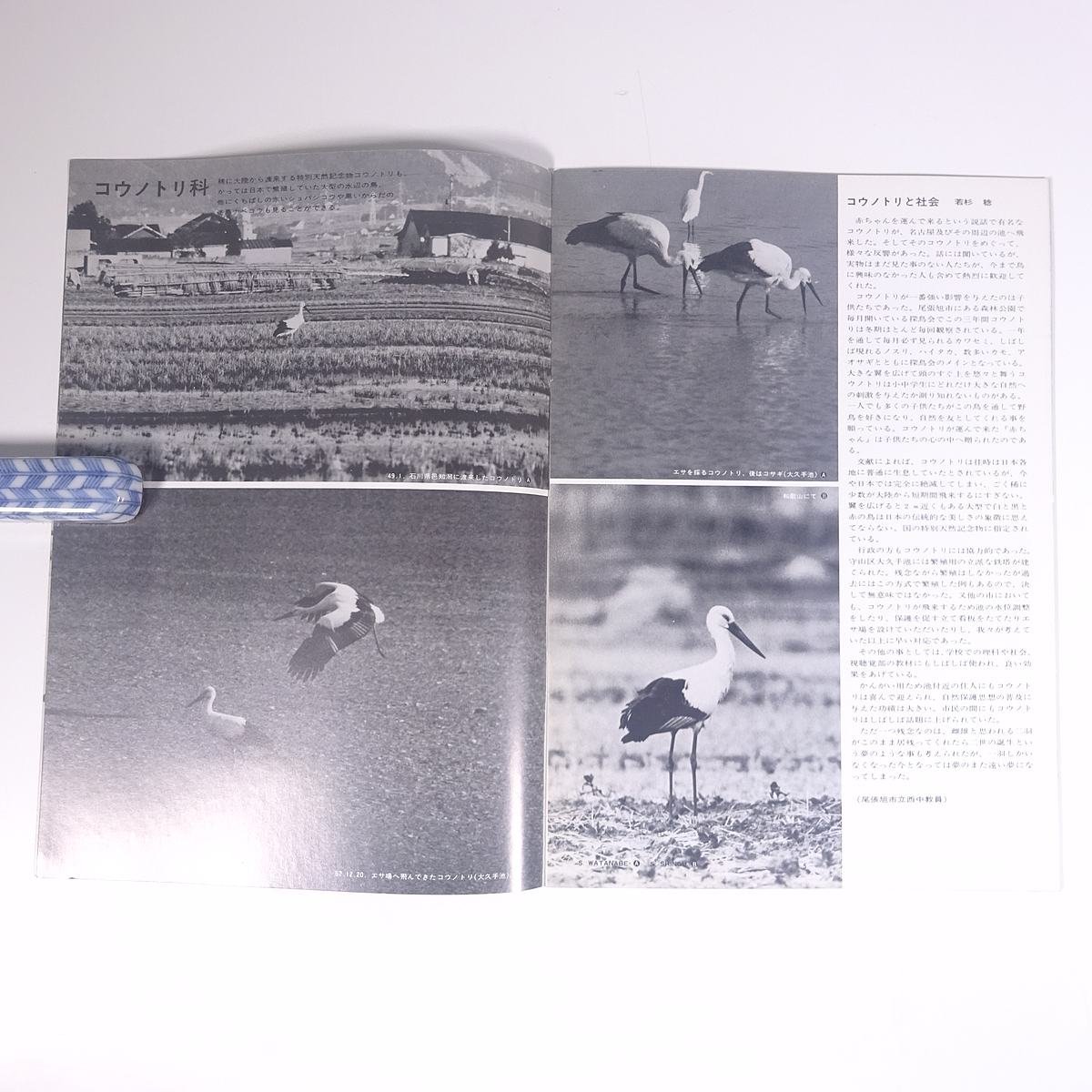 野鳥グラフ No.2 1981/3 愛知県名古屋市 森井豊久 JBC 雑誌 グラフ誌 写真集 図版 図録 鳥類 特集・コウノトリ科 トキ科 ツル科 クイナ科_画像6