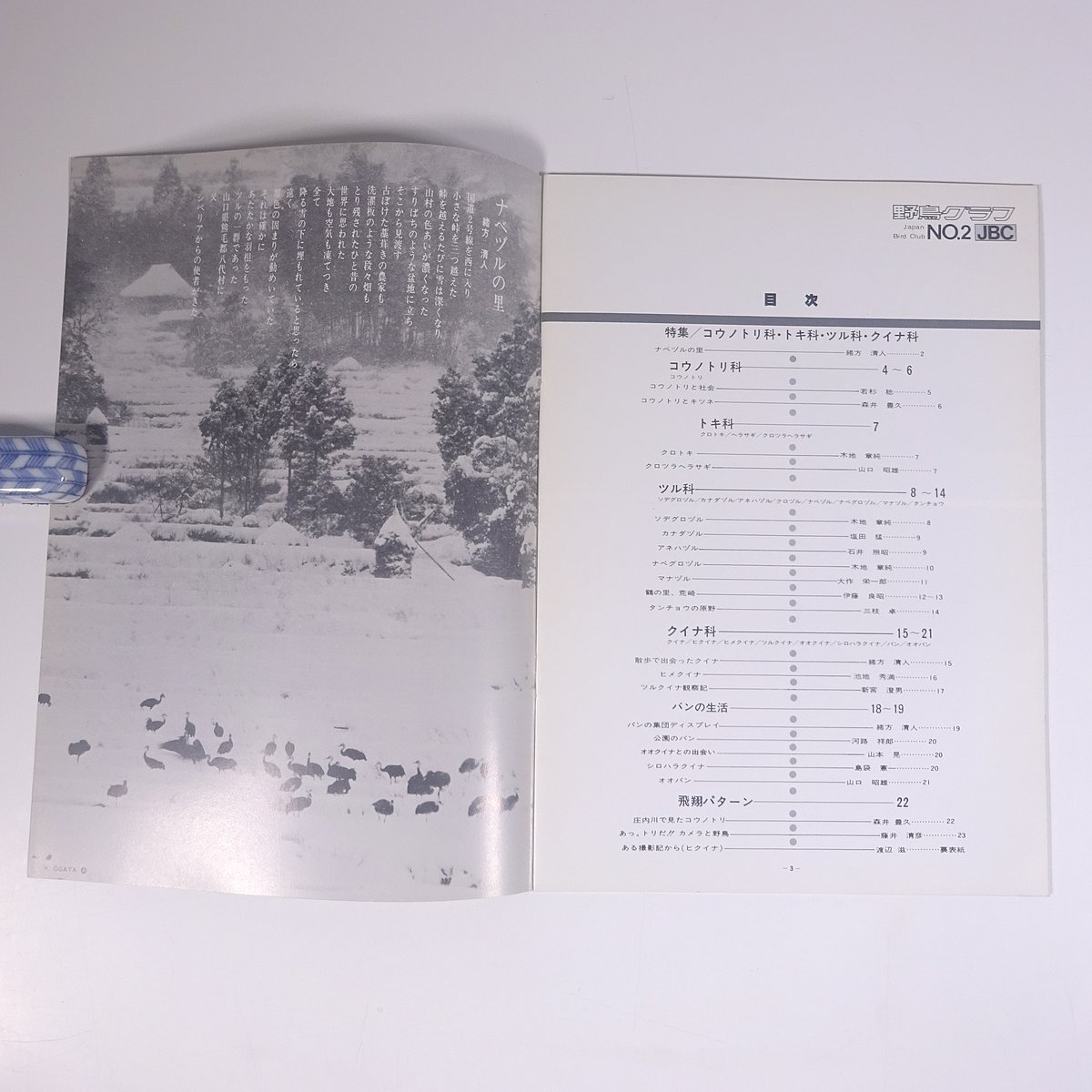 野鳥グラフ No.2 1981/3 愛知県名古屋市 森井豊久 JBC 雑誌 グラフ誌 写真集 図版 図録 鳥類 特集・コウノトリ科 トキ科 ツル科 クイナ科_画像5