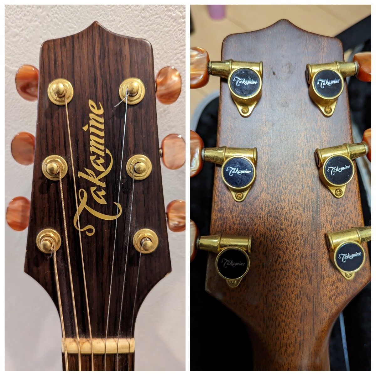 npt-012bs takamine エレアコ | normanhubbard.com