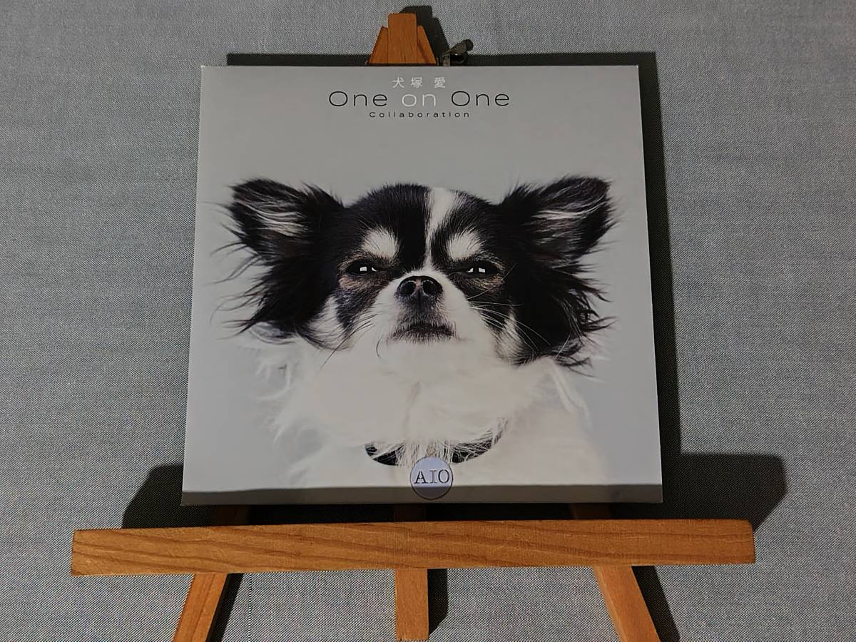 3612o 即決有 中古CD 【初回紙ジャケ仕様】 大塚 愛 『犬塚 愛 One on One Collaboration』 リメイクアルバム_画像1